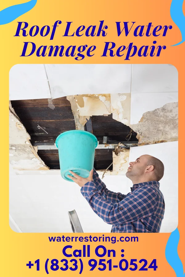Roof Leak Water Damage Repair in Upper Fruitland, NM